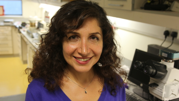 Dr Parvaneh Mokarian
