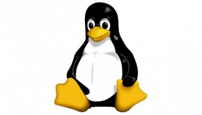 Linux Penguin