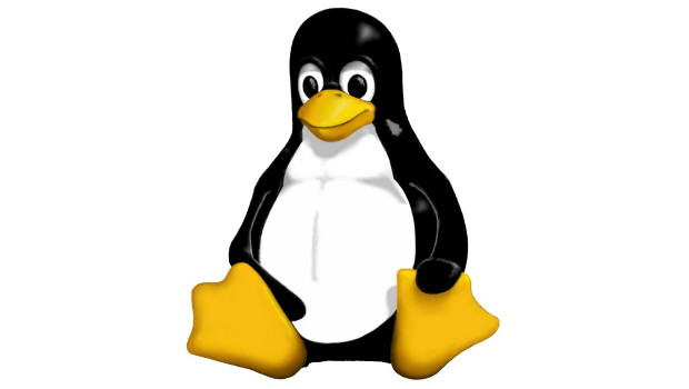 Linux Penguin