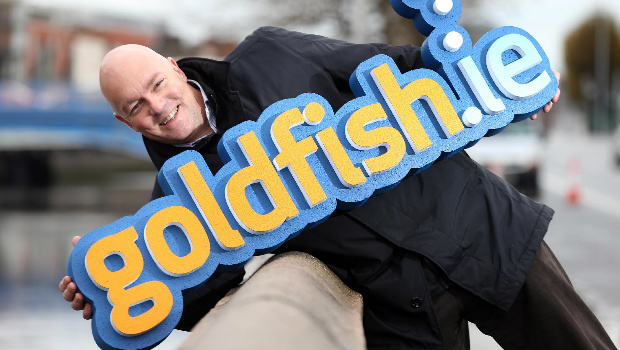 Gordon O'Neill, Goldfish.ie