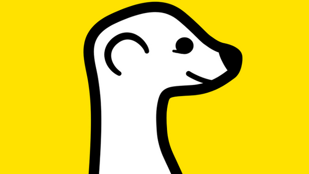 Meerkat