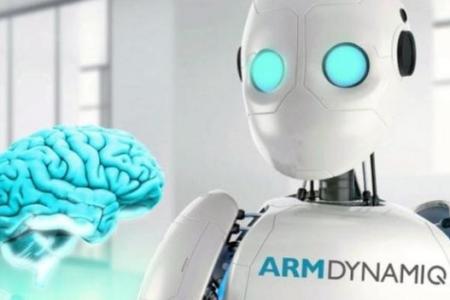 ARM Dynamiq