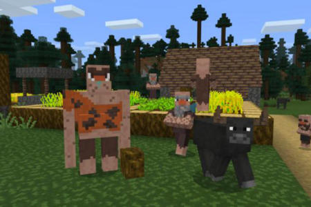 Stone Age Minecraft