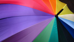 Umbrella