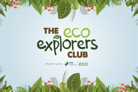 Eco Explorers Club