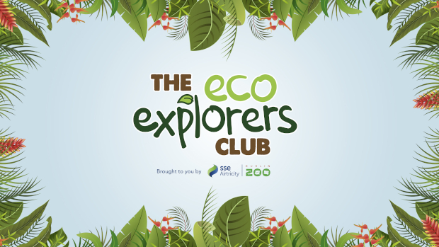 Eco Explorers Club