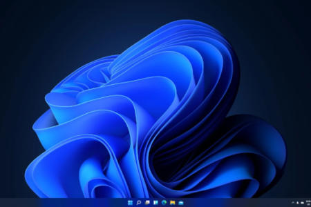 Windows 11 Desktop