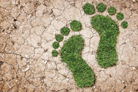 Green footprint