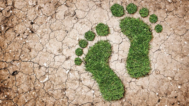 Green footprint