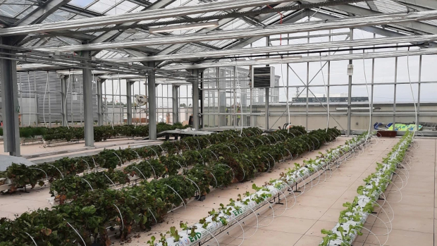 Data centre crops