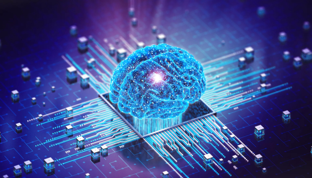 Brain on a silicon chip