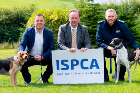 Pictured Coman Burke, Ergo; Dr Cyril Sullivan and Conor Dowling, ISPCA