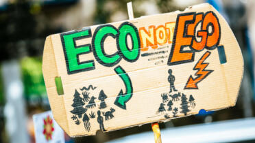 Eco v Ego