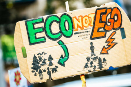 Eco v Ego