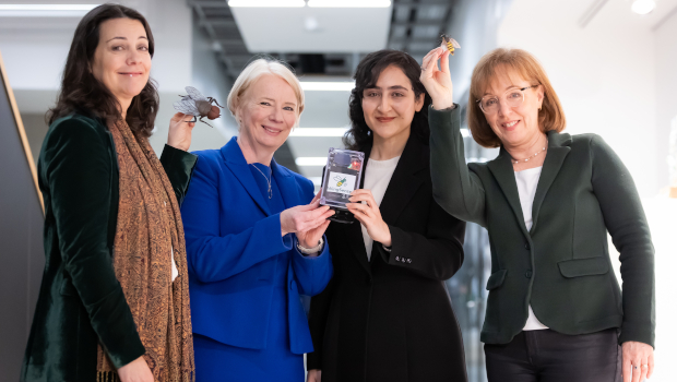 The Hub will support ICT and AI researchers across Ireland through targeted funding, training, mentorship, and access to industry networks