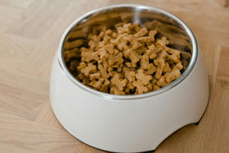 Kibble
