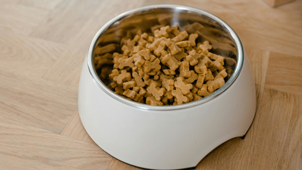 Kibble